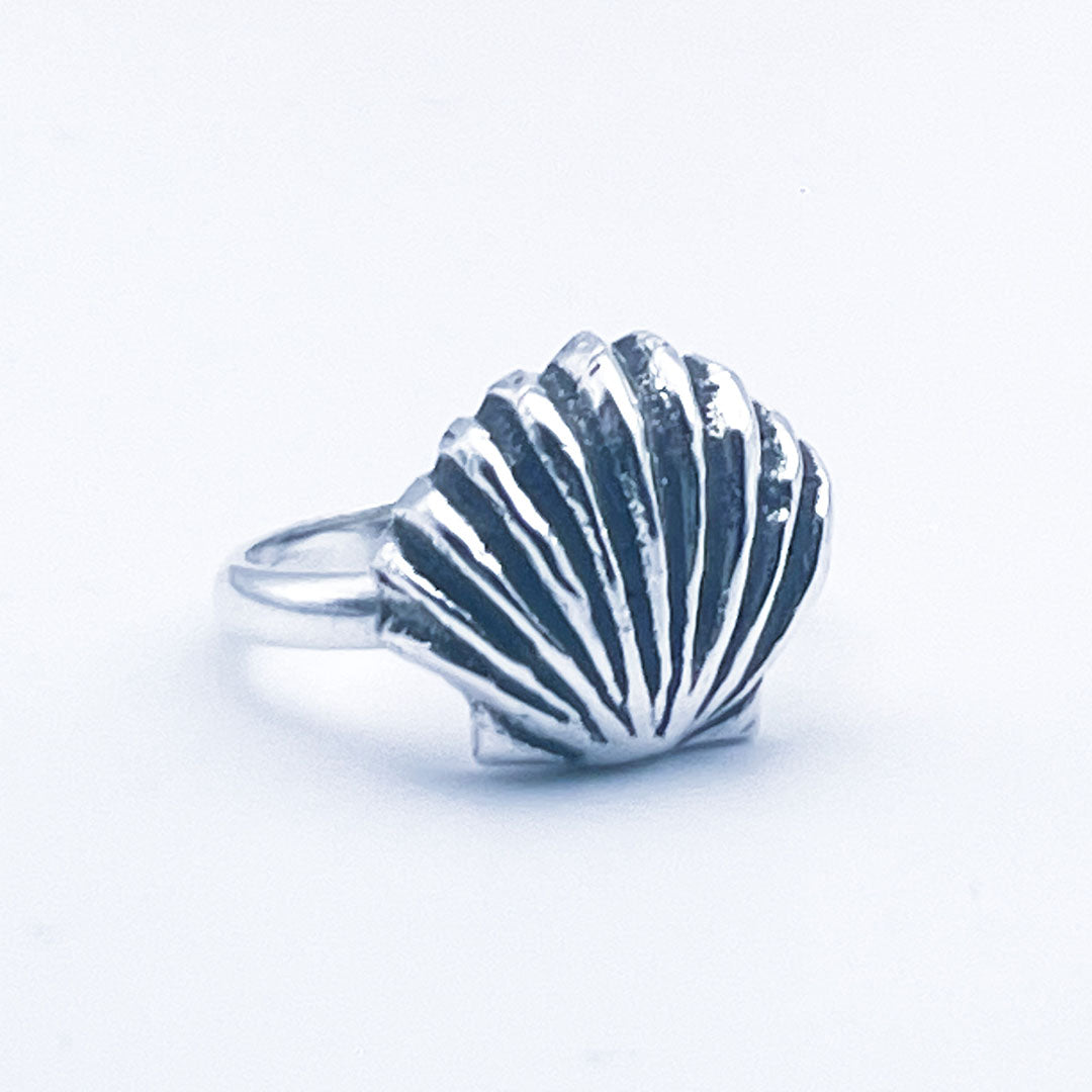 Anillo Shell